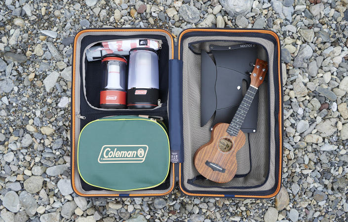 2009suitcase_15.jpg