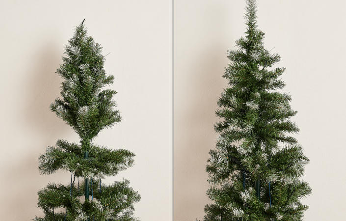 1911_christmas-tree_06.jpg