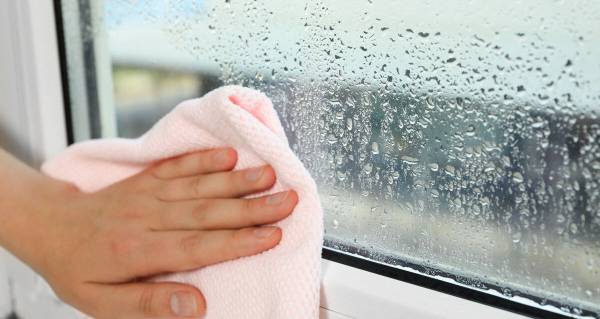 窓にできる結露の防止・対策方法をご紹介
