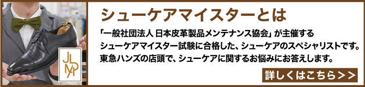 シューケアマイスターとは