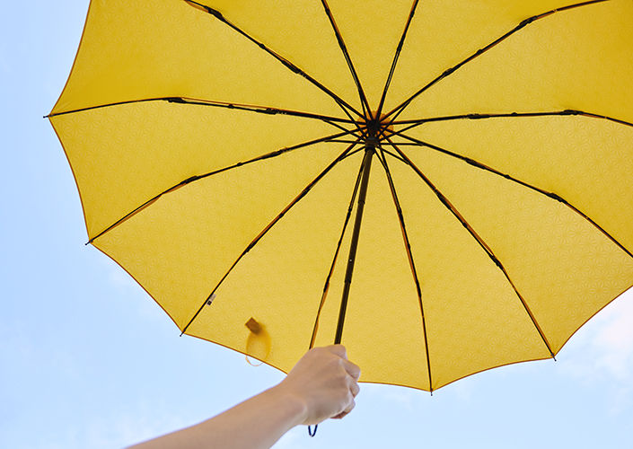 2206_umbrella_02.jpg