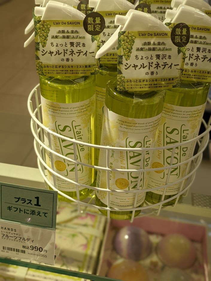 レールデュサボン①.jpg