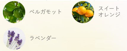 umeアユーラ写真⑫.jpg