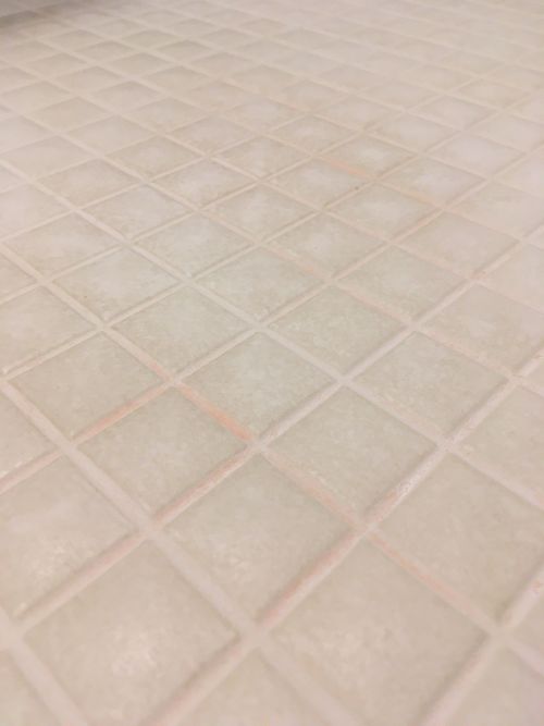 床_清掃前.JPG