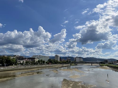 IMG-5979.jpg