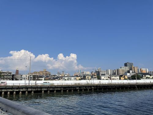 IMG-6134.jpg