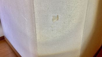 IMG_3117.jpeg