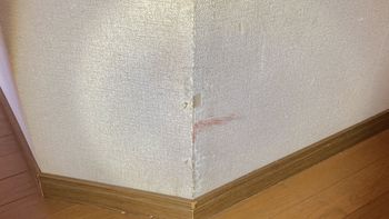 IMG_3119.jpeg