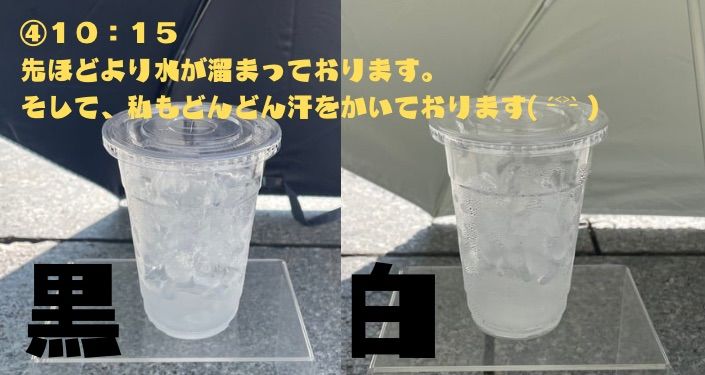 日傘実験 - 5.jpg