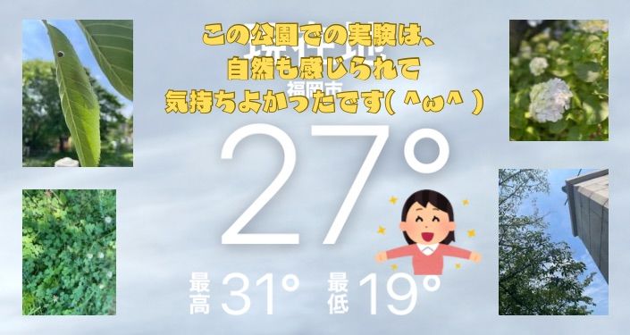 日傘実験.jpg