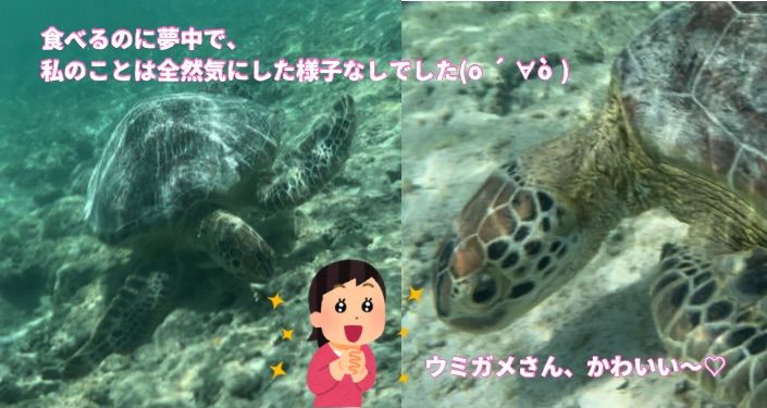 ①３０Lのリュック - 5.jpg