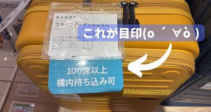 スーツケース7つのこと (2).jpg