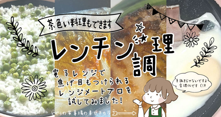 レンジメートプロ扉.jpg