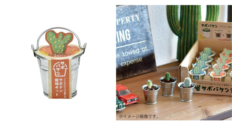 栽培キット.png