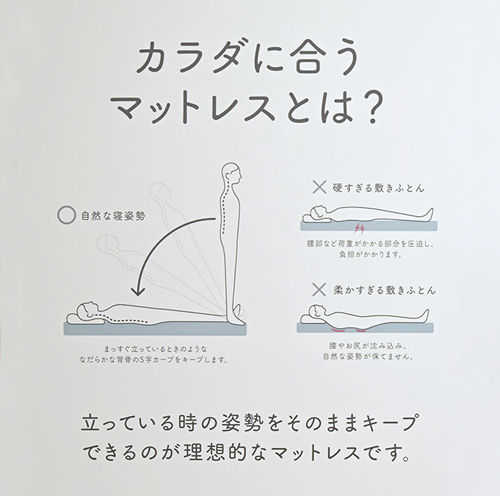 ume三つ折り写真⑫.jpg
