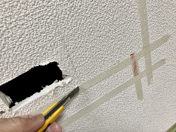 umeニッチ【13　切れ目】.jpg