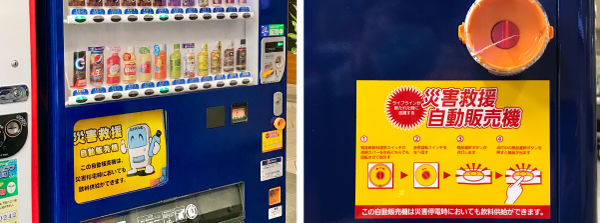 ume帰宅1213.jpg