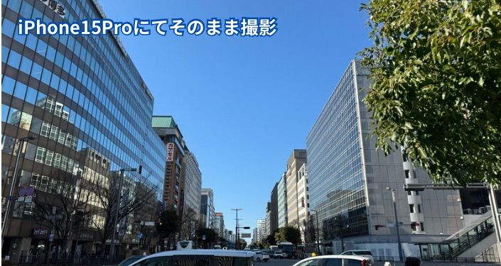 等倍撮影.JPG