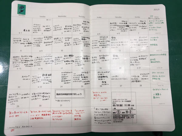 ume画像3.jpg