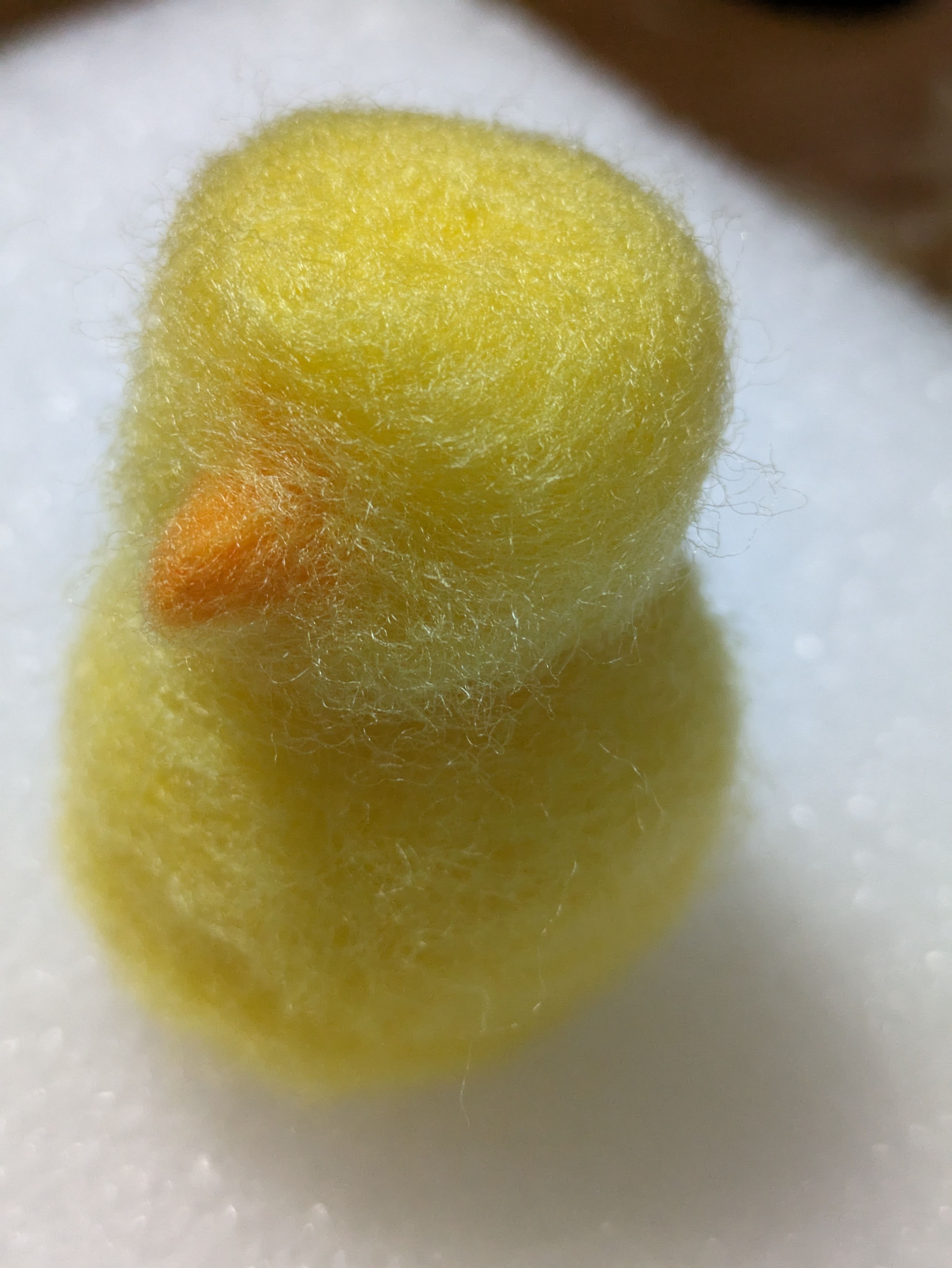 くちばし④.jpg