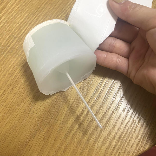 梅ろう10.jpg