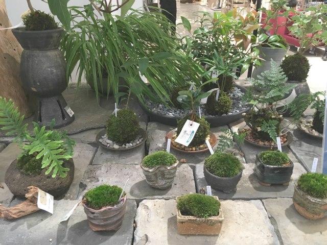 画像21.jpg
