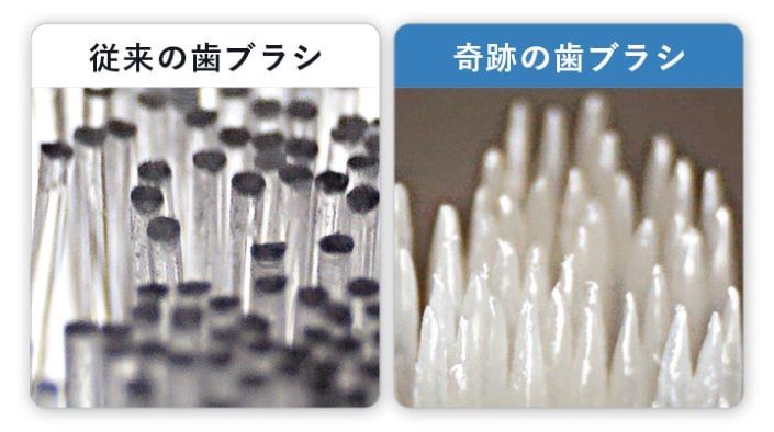 奇跡の歯ブラシ特長③.jpg