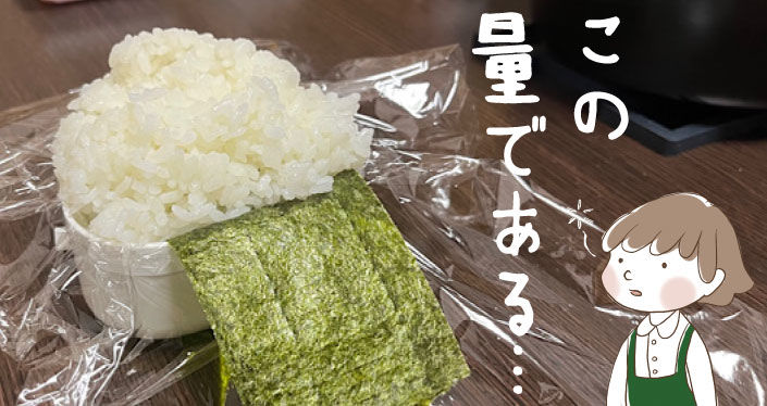 この量である.jpg