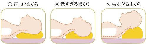 ume西川写真③　枕の高さ.jpg