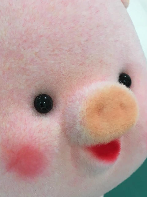 写真①-2　豚バンクアップ.jpg