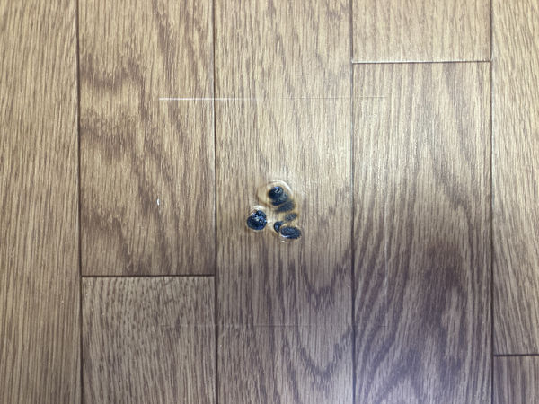 umeハイリスク21　焼け焦げ.jpg