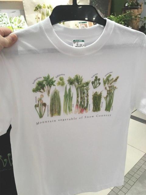 画像18.jpg