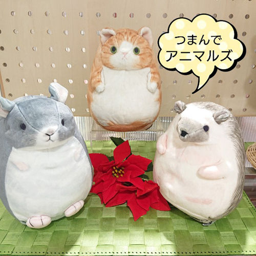 umeアニマル①.jpg