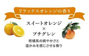 umeナイト0802.jpg