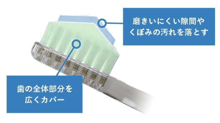 奇跡の歯ブラシ特長②.jpg