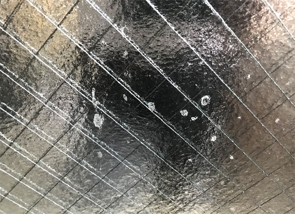 ume窓【画像15　白い点】.jpg