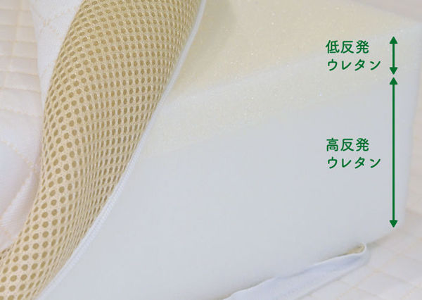 ume三つ折り写真⑤.jpg