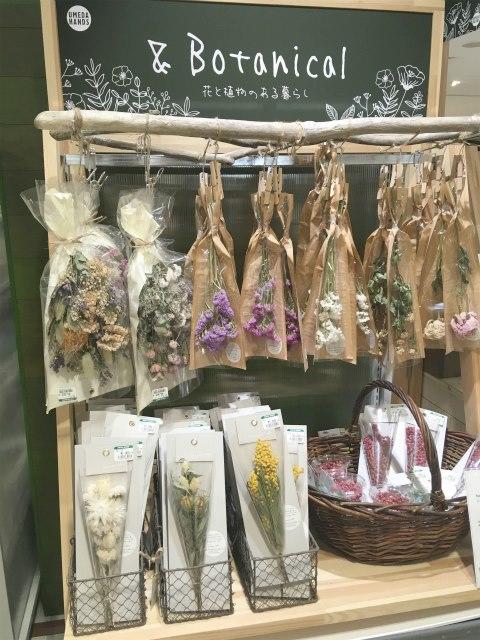 画像13.jpg