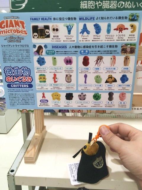 画像4.jpg